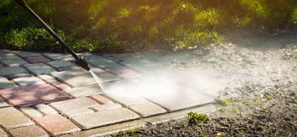 Solar Panel Cleaning in Eden, TX